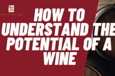 How to understand the Potential of a Wine