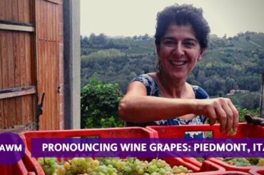 How to Pronounce Grapes of Piedmont: Arneis to Nebbiolo