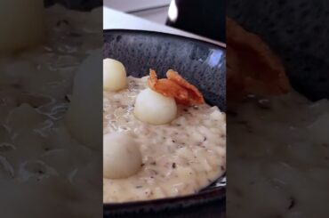 Risotto Without Rice - Trailer