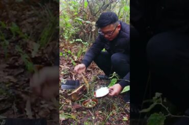 Chinese Cooking Modern Cooking Food Ep38