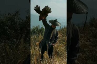 Chinese Cooking Modern Cooking Food Ep46