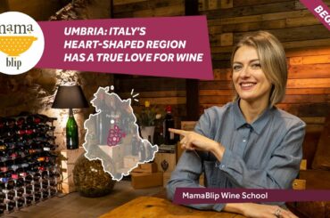 Beginners Guide to italian Wines: Umbria wines