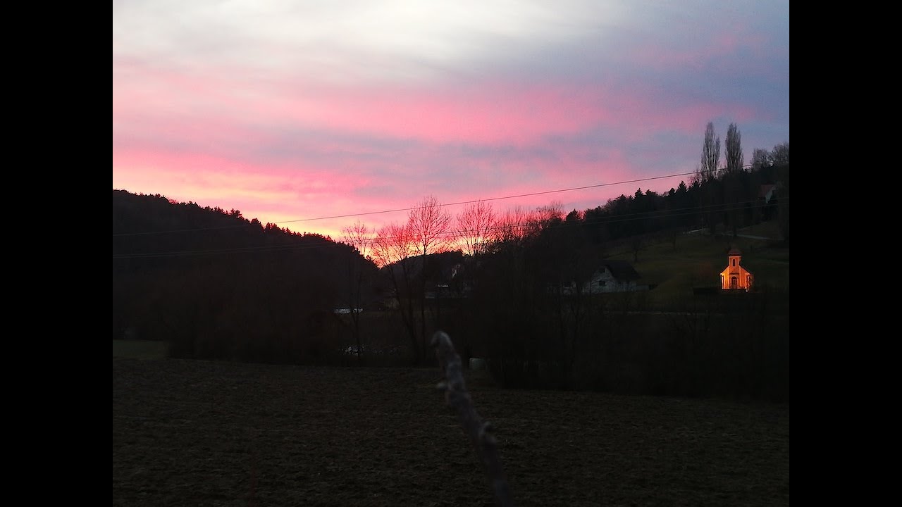 Grapes harvest & wine making in Austria Grapes harvest & wine making in Austria