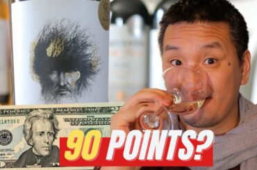 Can YOU find 90 POINT Wines UNDER 20 Bucks?