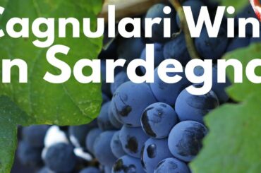 Cagnulari Sardegna Documentary