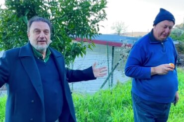 How to Enjoy Food in Italy. The most perfumed oranges in Europe.