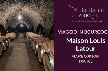 Viaggio in Bourgogne, France, Maison Louis Latour and Beaune