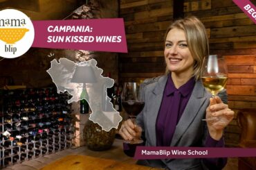 Beginners Guide to italian Wines: Campania Wines