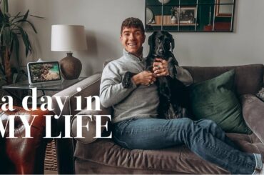 A DAY IN MY LIFE & FAVOURITES | THRIFTED HOMEWARE FINDS & MEALS