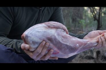 The legendary Italian ARROSTICINI, cooked in the woods solo // ASMR Cooking, NO TALK !!