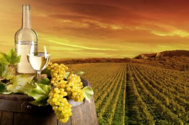 VineYard: Jazz Piano with Wine Pouring Sounds - 1-Hour Smooth Jazz Music for Good Mood!