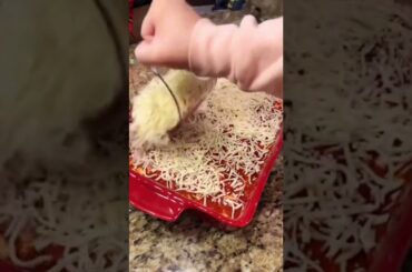 Simple Low Carb Italian Chicken Casserole