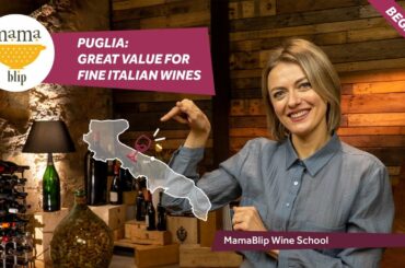 Beginners Guide to italian Wines: Puglia Wines