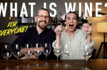 Intro to Wine for Normal People