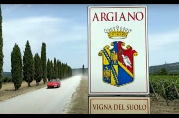 Italy, Tuscany, Montalcino: A Video Spotlight on Argiano - Monica Larner