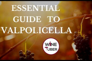 Valpolicella Wines Explained | What is Valpolicella? @Wine Tuber