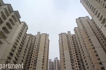 Civitech Stadia - Ready to move apartment #Sector79Noida #premiumapartments #bricksbybricks #shorts