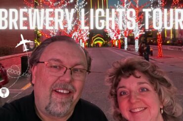 Christmas FUN in St  Louis