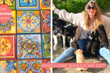 THE KITCHEN REDO BEGINS (WITH PUPPY INTERLUDES!) | The Positano Diaries EP 165