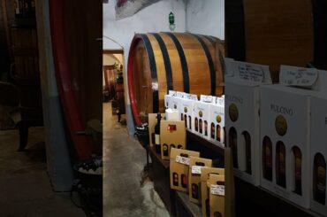 ONE OF THE  FAMOUS WINE CELLAR IN TUSCANY  ITALY