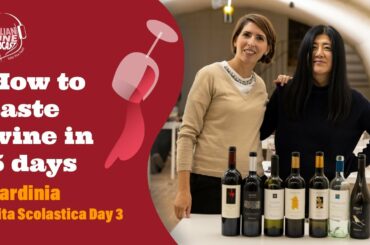 How to taste wine in 5 days -  Sardinia Gita Scolastica Pt. 3 - Travel On The Road with Stevie Kim!