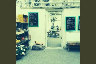 Bossa Quintet Soundtrack for Indoor Dining