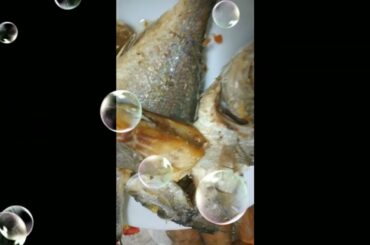 ITALIAN FRIED FISH RECIPE