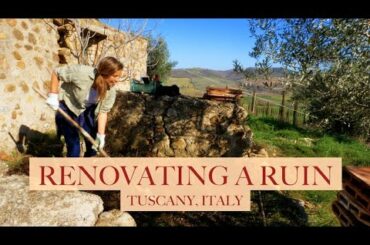 RENOVATING A RUIN: Chicken Coop Cottage Update & a New Project with Stone Pigsties