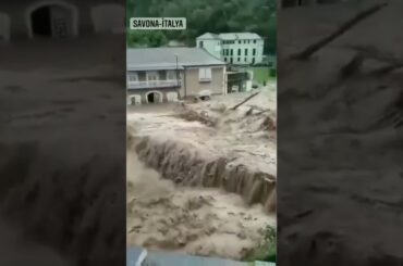 Bad Side Of Food In Italy #shorts #italy