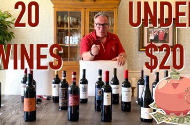 Affordable Wines || 20 Wines UNDER $20 || Decants With D
