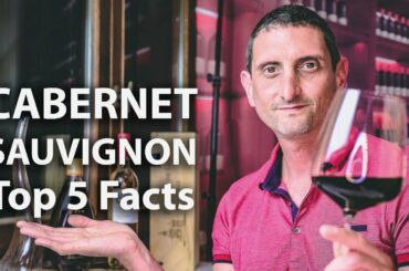 Everything You Need to Know about Cabernet Sauvignon Wine