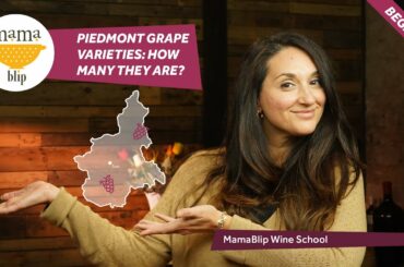 Inside the Piedmont Wine Region, Italy :Grape varieties of Piedmont - Barbera, Dolcetto, Nebbiolo