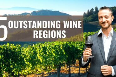 5 Best UNDERRATED Wine Regions of the world yet to discover in 2022 (Patagonia, Cyprus, Spain etc)