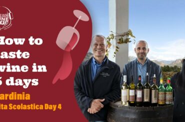 How to taste wine in 5 days -  Sardinia Gita Scolastica Pt. 4 - Travel On The Road with Stevie Kim!