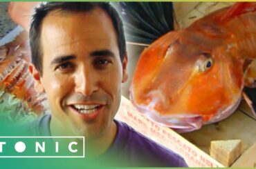 Delicious Italian Seafood Recipes | David Rocco's Dolce Vita | Tonic