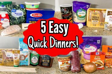 WHAT'S FOR DINNER? 5 Tried & True Meals ANYONE Can Make | Quick & EASY Recipes! | Julia Pacheco