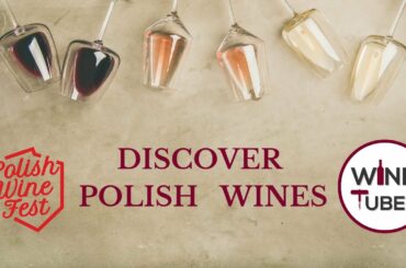 Discover Polish Wines @Wine Tuber