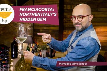 Franciacorta, Lombardy - Italy Wine Region: a guide for beginners from Italy