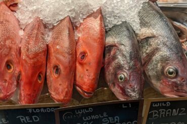 Italian Food New York - Eataly - Madison Square Park - New York City