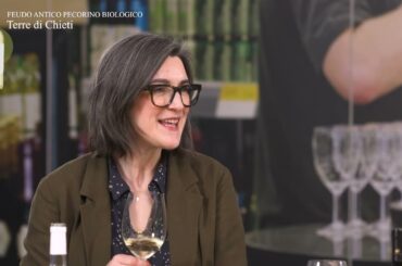 Discover the Feudo Antico Pecorino Biologico with the Wine Club tasting panel