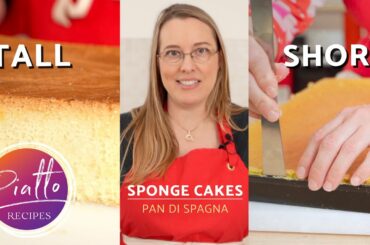 Italian SPONGE CAKE Recipe (Pan di Spagna) - Complete Baking Guide!