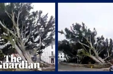 Storm Eunice brings down a large tree in Cornish town centre: 'I caught that on video'