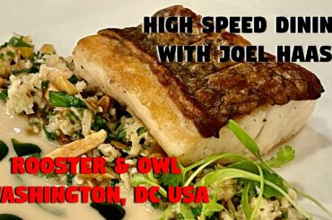Michelin Star Meals: Rooster & Owl - Washington DC with Joel Haas & High Speed Dining - Best Food