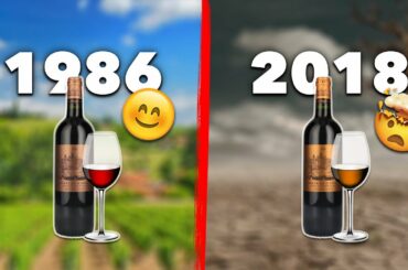 Same Wine, 32 Years Apart: Does It Get Better?