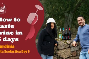 How to taste wine in 5 days -  Sardinia Adventure Pt. 5 - Travel On The Road with Stevie Kim!