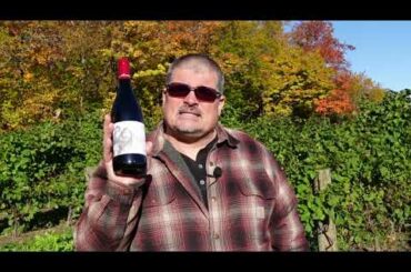 Le Potazzine 2019 Pottazzine Sangiovese (Italian Wine)