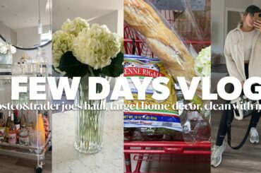 costco & trader joes haul, target spring home decor, cleaning, sunday night dinner & euphoria party