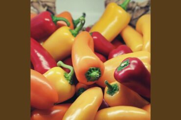 Brilliant Cooking Italian