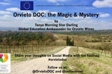Orvieto DOC: the Magic & Mystery