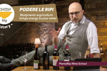 Sangiovese | Podere Le Ripi: biodynamic Agriculture Brings energy to your wine
